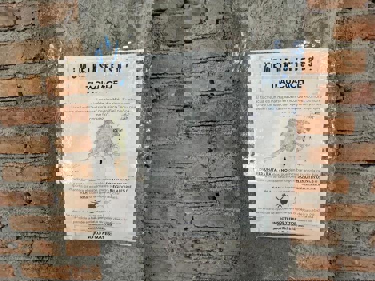 imagen-cuerpo imagen-cuerpo