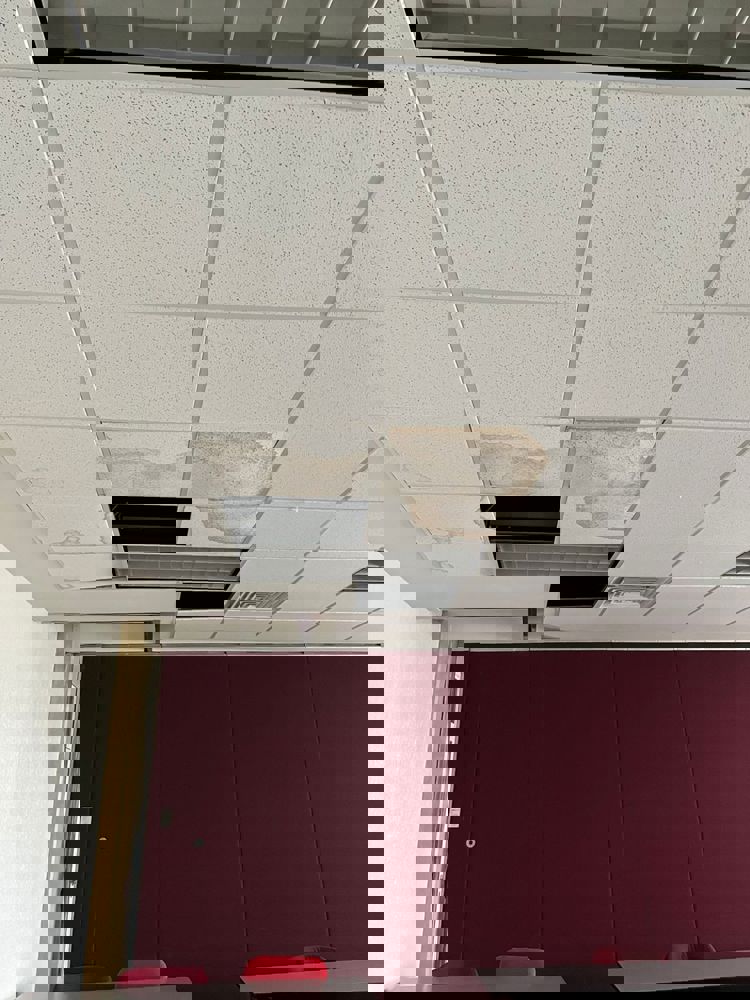 imagen-cuerpo imagen-cuerpo