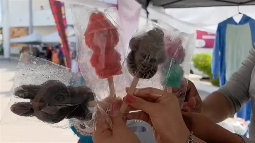 Foto: Rocío Casas / POSTA Baja California Sur.