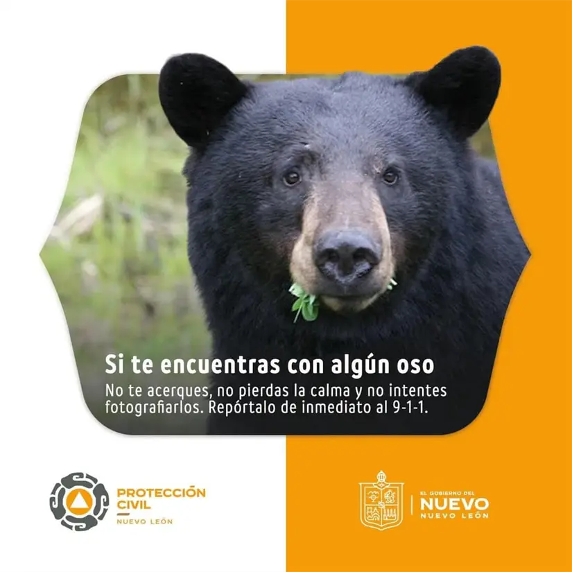 imagen recuadro Recomendaciones ante este tipo de avistamientos Foto: PCNL