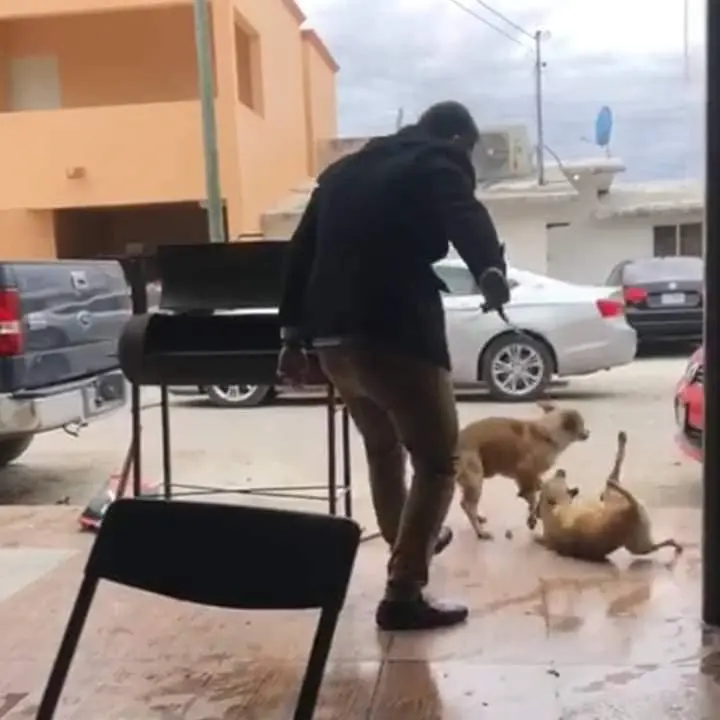 imagen recuadro El caso trascendió luego de que se difundiera el video en redes sociales./Foto: Luis Manzano-Noticias