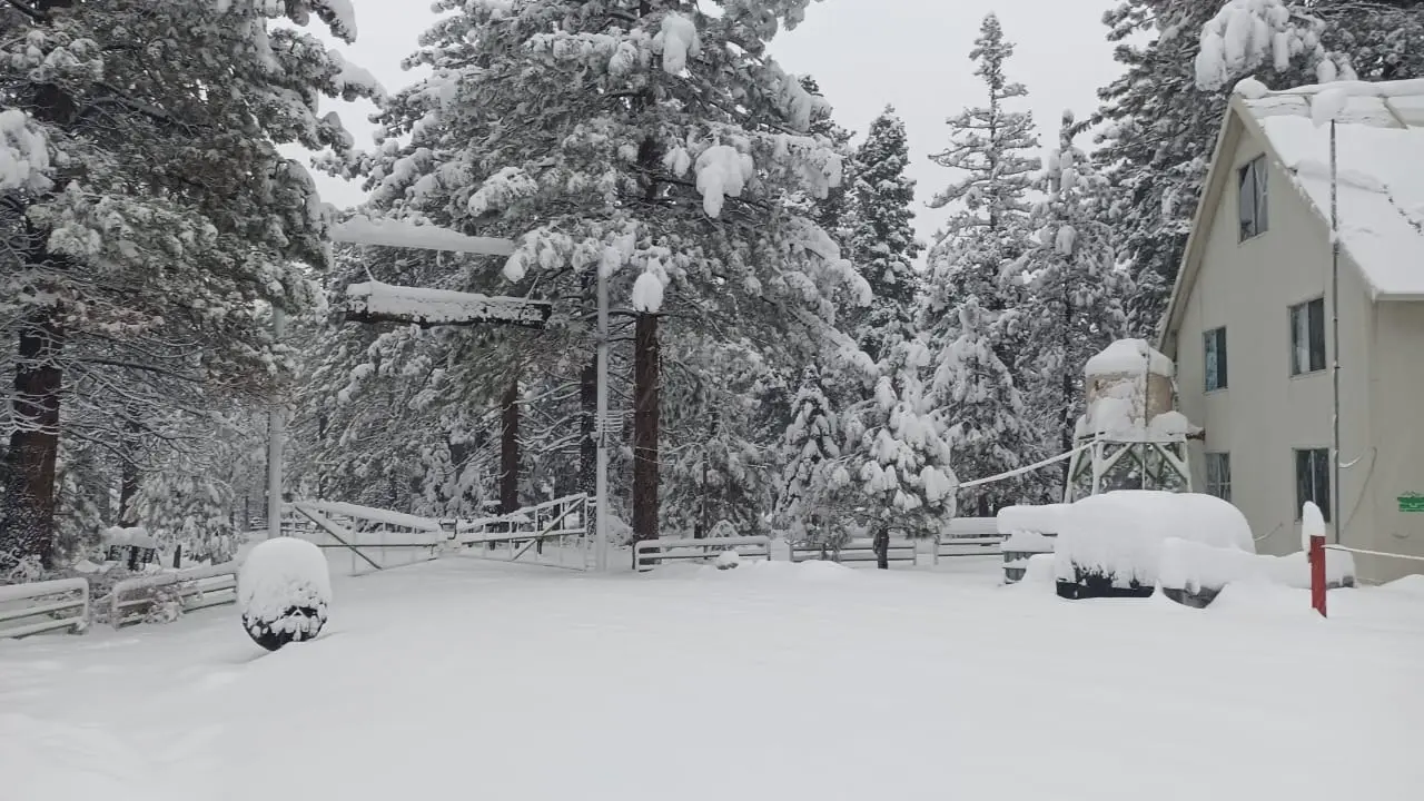 La nieve en el Parque Nacional llegó hasta 40 centímetros. Foto: Parque Nacional Sierra de San Pedro Mártir / Facebook.