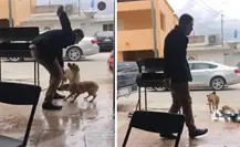 Cae El Mataperros de Piedras Negras tras 7 años prófugo; este fue su delito Cae El Mataperros de Piedras Negras tras 7 años prófugo; este fue su delito