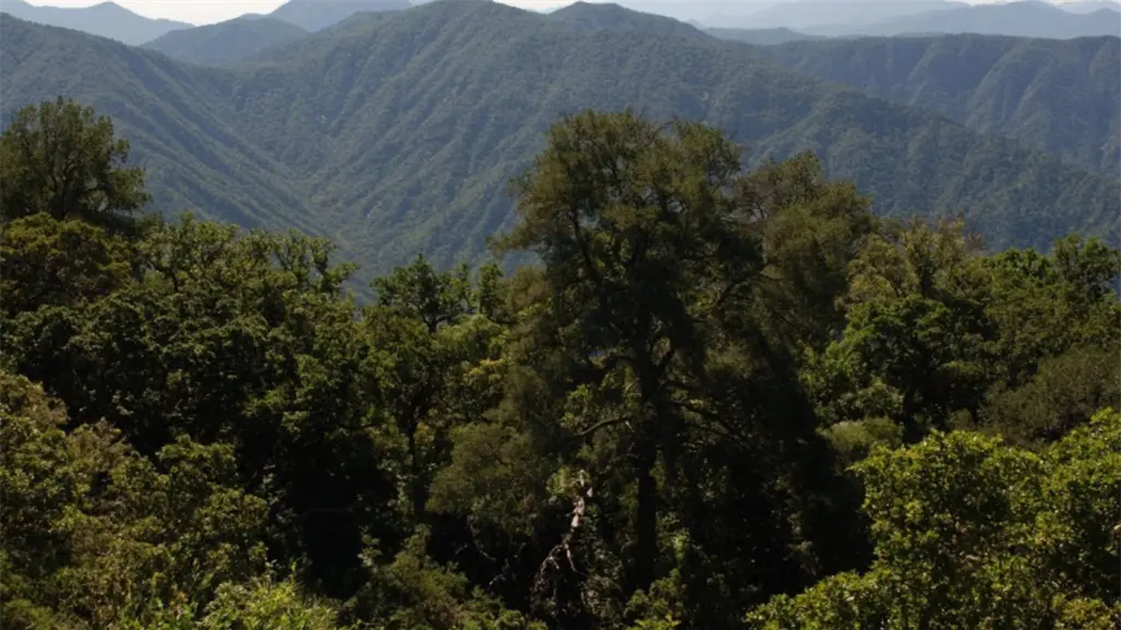 Cómo nació la tradición de subir la Sierra de la Laguna en BCS