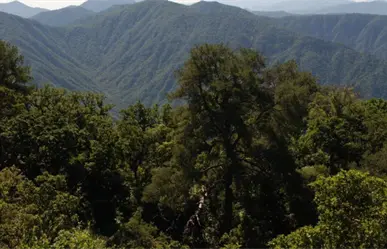 Cómo nació la tradición de subir la Sierra de la Laguna en BCS