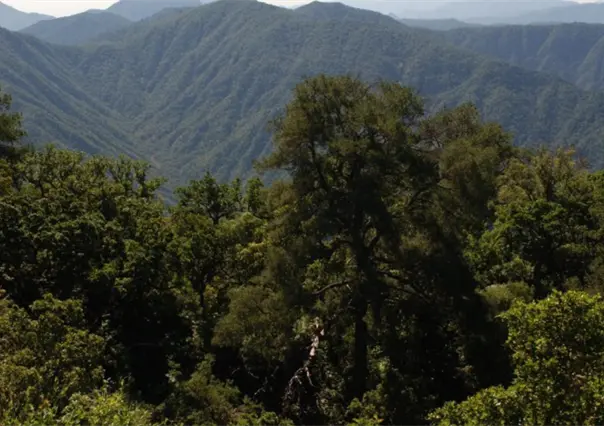 Cómo nació la tradición de subir la Sierra de la Laguna en BCS
