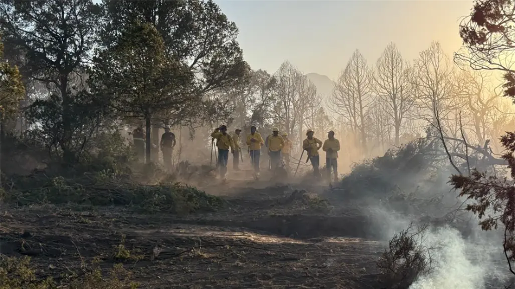 Convoca Amigos de la Sierra AC en Saltillo y Arteaga a brigadistas de tiempo completo