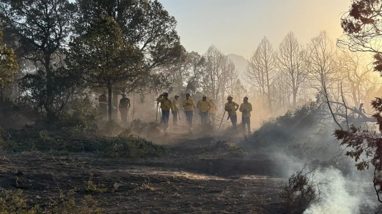 La organización está en busca de personas comprometidas con el medio ambiente y con un fuerte interés por proteger la sierra. /Foto: FB Amigos de la Sierra A.C.
