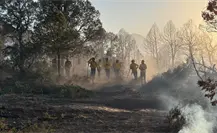 Convoca Amigos de la Sierra AC en Saltillo y Arteaga a brigadistas de tiempo completo