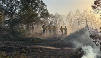 Convoca Amigos de la Sierra AC en Saltillo y Arteaga a brigadistas de tiempo completo