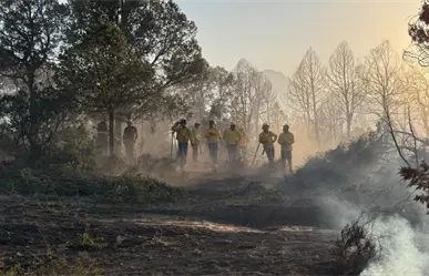 Convoca Amigos de la Sierra AC en Saltillo y Arteaga a brigadistas de tiempo completo