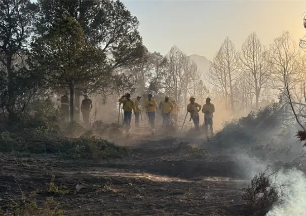Convoca Amigos de la Sierra AC en Saltillo y Arteaga a brigadistas de tiempo completo