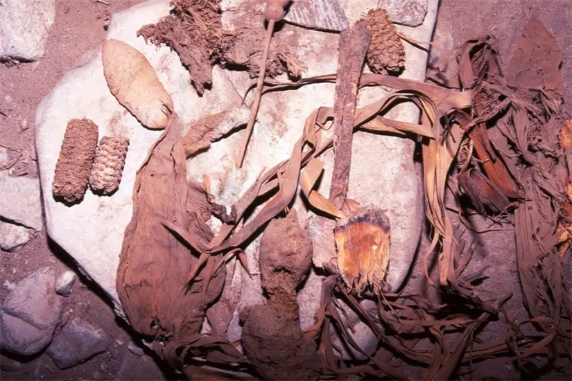 Cueva Fotos: Jean Louis Lacaille Múzquiz