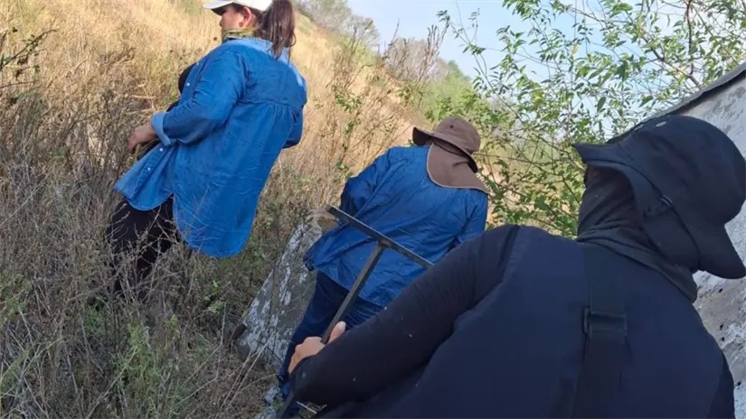 colectivo amor por los desaparecidos imagen recuadro