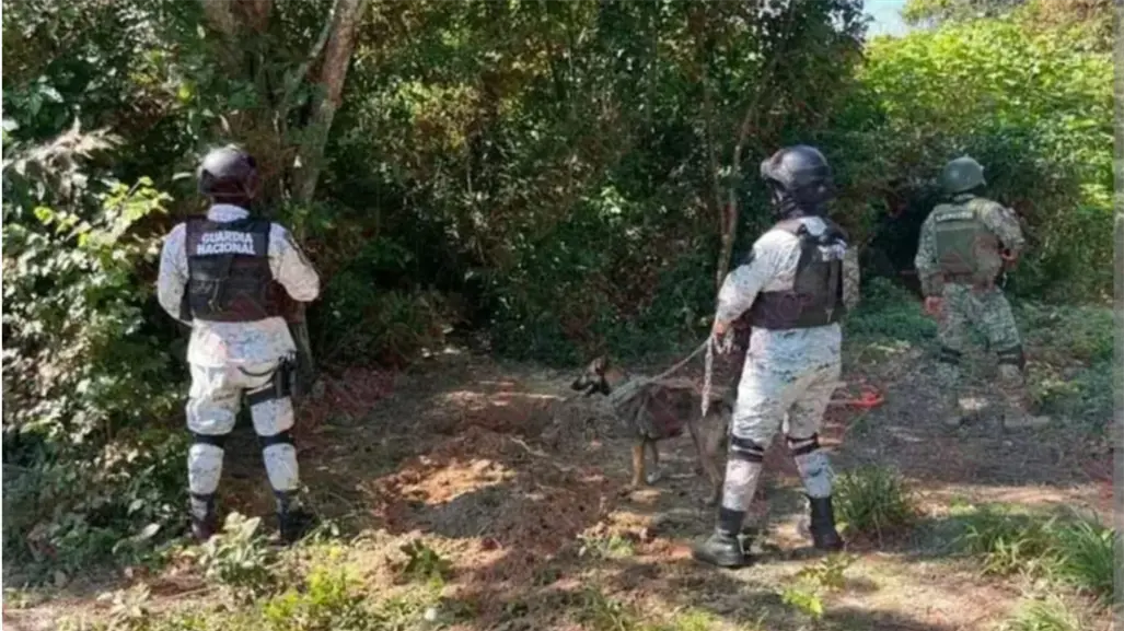 Hallan posibles fosas clandestinas en Tuxpan, Veracruz