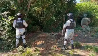 Hallan posibles fosas clandestinas en Tuxpan, Veracruz