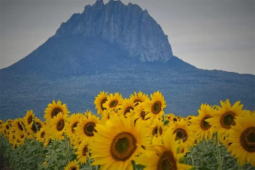 Foto: Rancho Corrales blancos