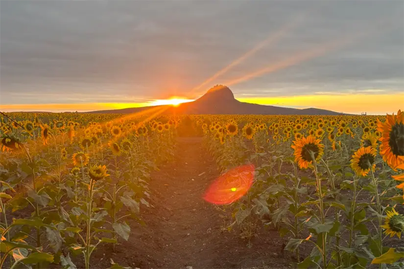 Foto: rancho Corrales blancos