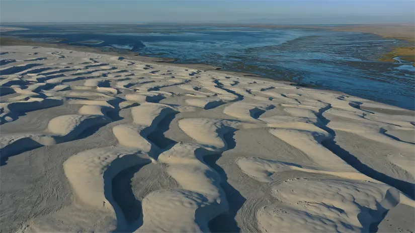 Las extensas dunas costeras son parte de los paisajes más representativos del Vizcaíno. Foto: Secretaría de Turismo y Economía de Baja California Sur