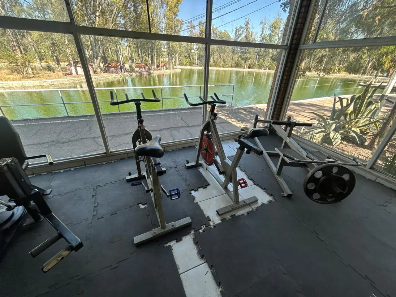 ¿Qué ha sido del gimnasio del Parque Sahuatoba? Así es como luce