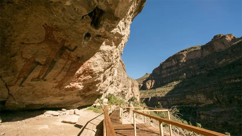 Las pinturas rupestres de la Sierra de San Francisco forman parte del patrimonio cultural dentro de la reserva. Foto: Secretaría de Turismo y Economía de Baja California Sur