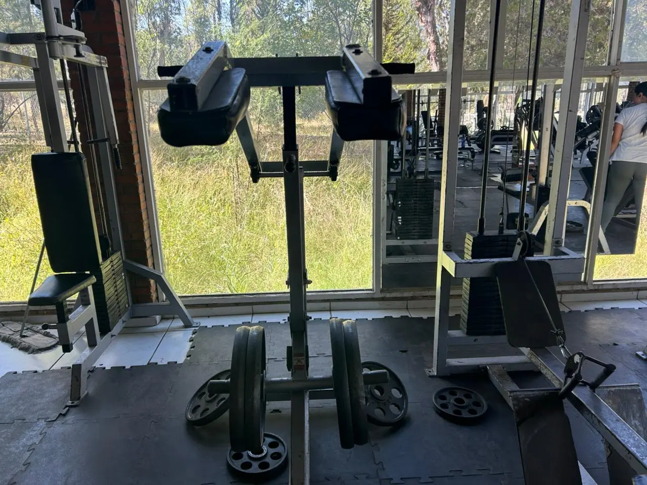 ¿Qué ha sido del gimnasio del Parque Sahuatoba? Así es como luce