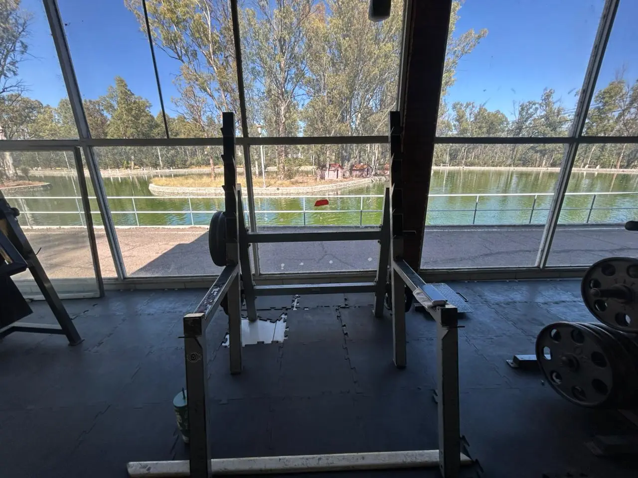 ¿Qué ha sido del gimnasio del Parque Sahuatoba? Así es como luce