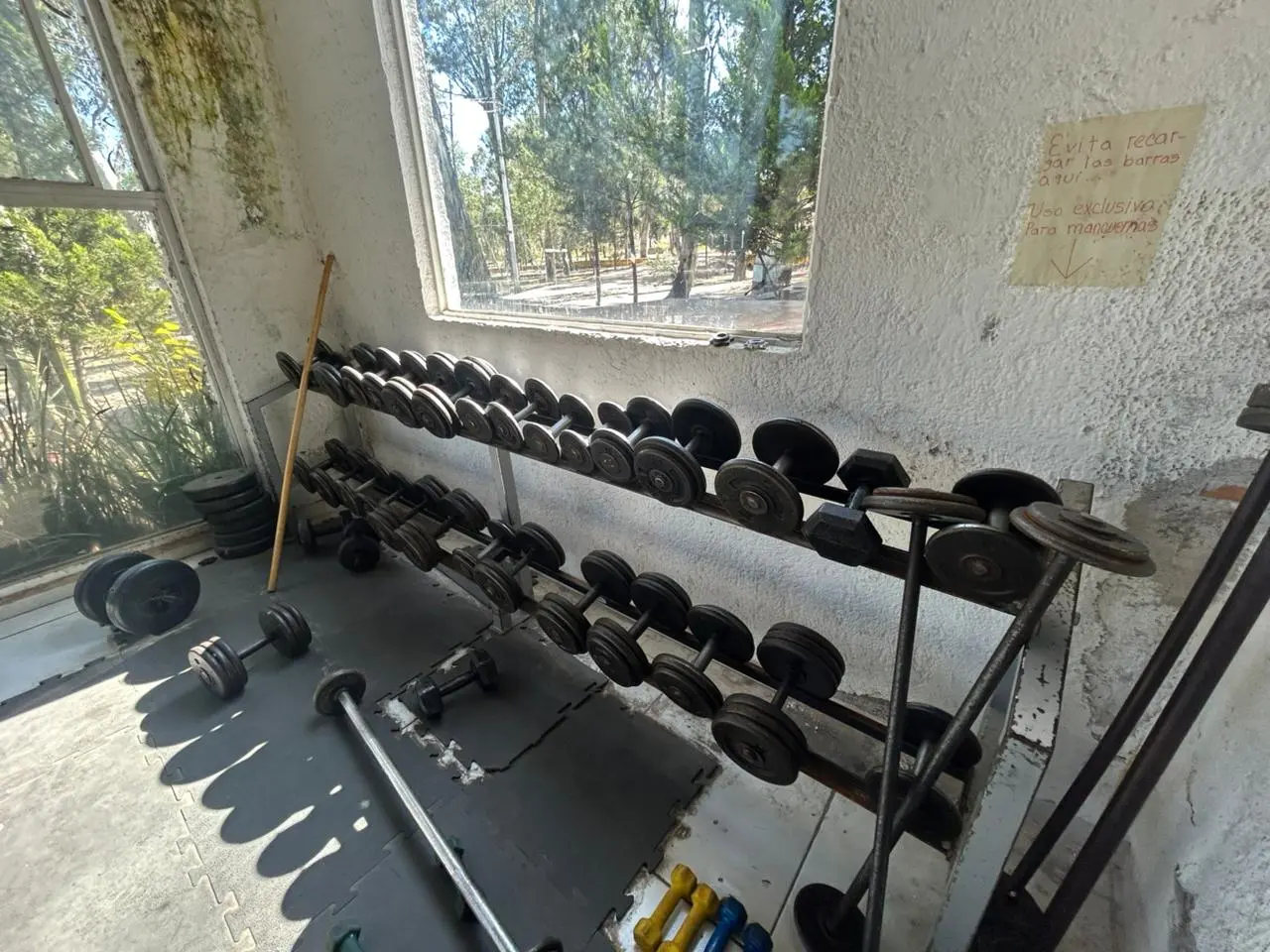 ¿Qué ha sido del gimnasio del Parque Sahuatoba? Así es como luce