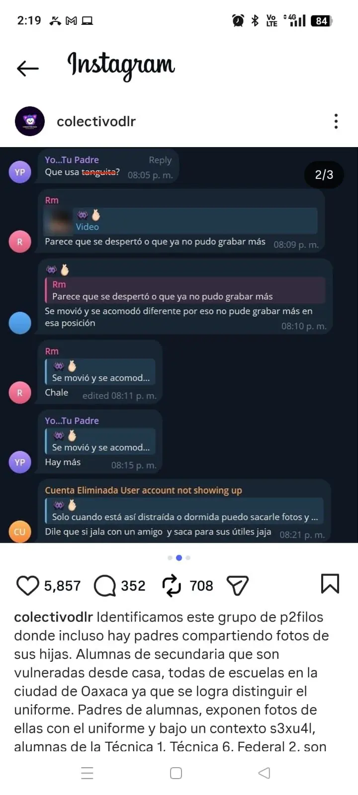 imagen recuadro Foto: Captura de pantalla en Instagram (@colectivodlr)