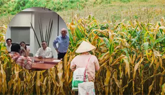 Campesinos de Campeche reprochan a Sader incumplimiento en precio de maíz