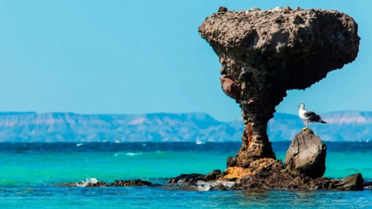 Balandra fue nombrada Área Natural Protegida desde el 30 de noviembre del 2012. Foto: Turismo La Paz.