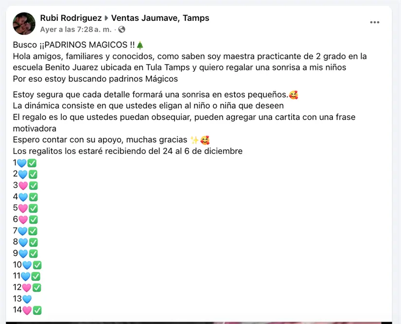 Maestra de Tula busca “padrinos mágicos” para llevar Navidad a primaria. FOTO | POSTA