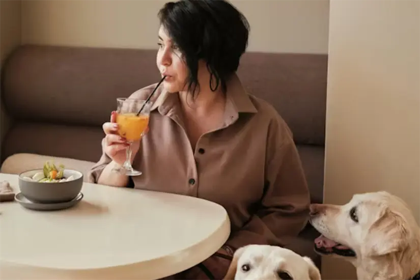 Mascota en Hotel Pet Friendly Foto: Unsplash