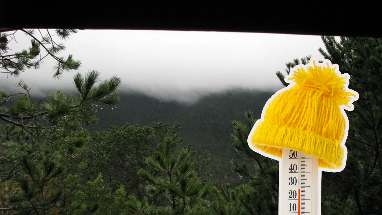 En la Región Sureste, las bajas temperaturas continuaron, siendo Arteaga la zona más fría./Foto: Tripadvisor/ Canva