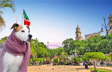 ¿Regresa la heladez?, pronostican la entrada de un nuevo frente frío a Yucatán con evento de "norte"