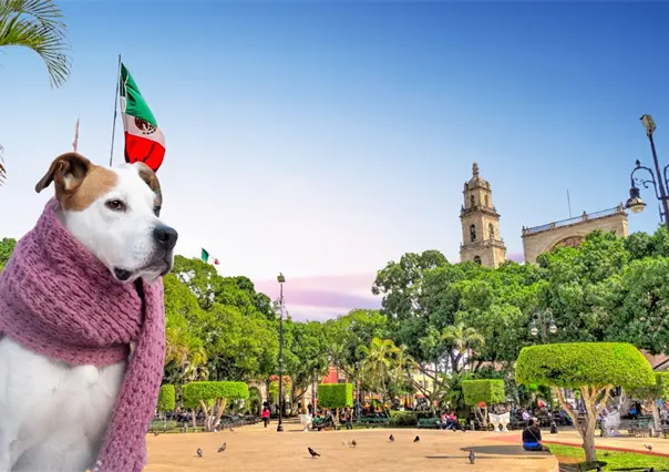 ¿Regresa la heladez?, pronostican la entrada de un nuevo frente frío a Yucatán con evento de "norte"