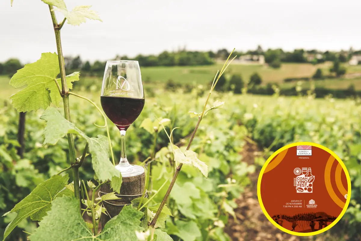Llega Coahvino Fest 2025 hasta Nuevo León, invitan a regios a festival en Coahuila. Foto: Canva | IG @vinosdecoahuila