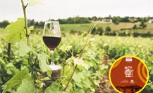 Llega Coahvino Fest 2025 hasta Nuevo León, invitan a regios a festival en Coahuila