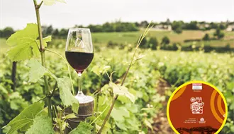 Llega Coahvino Fest 2025 hasta Nuevo León, invitan a regios a festival en Coahuila