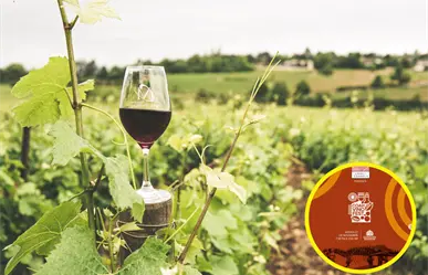 Llega Coahvino Fest 2025 hasta Nuevo León, invitan a regios a festival en Coahuila