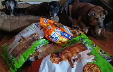 Recicla y apoya a perritos rescatados en Saltillo, te decimos dónde y cuándo