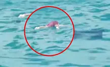 Encuentran cuerpo de un hombre flotando frente a las costas de Río Lagartos, en Yucatán Encuentran cuerpo de un hombre flotando frente a las costas de Río Lagartos, en Yucatán