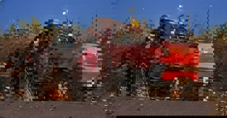 imagen-cuerpo imagen-cuerpo