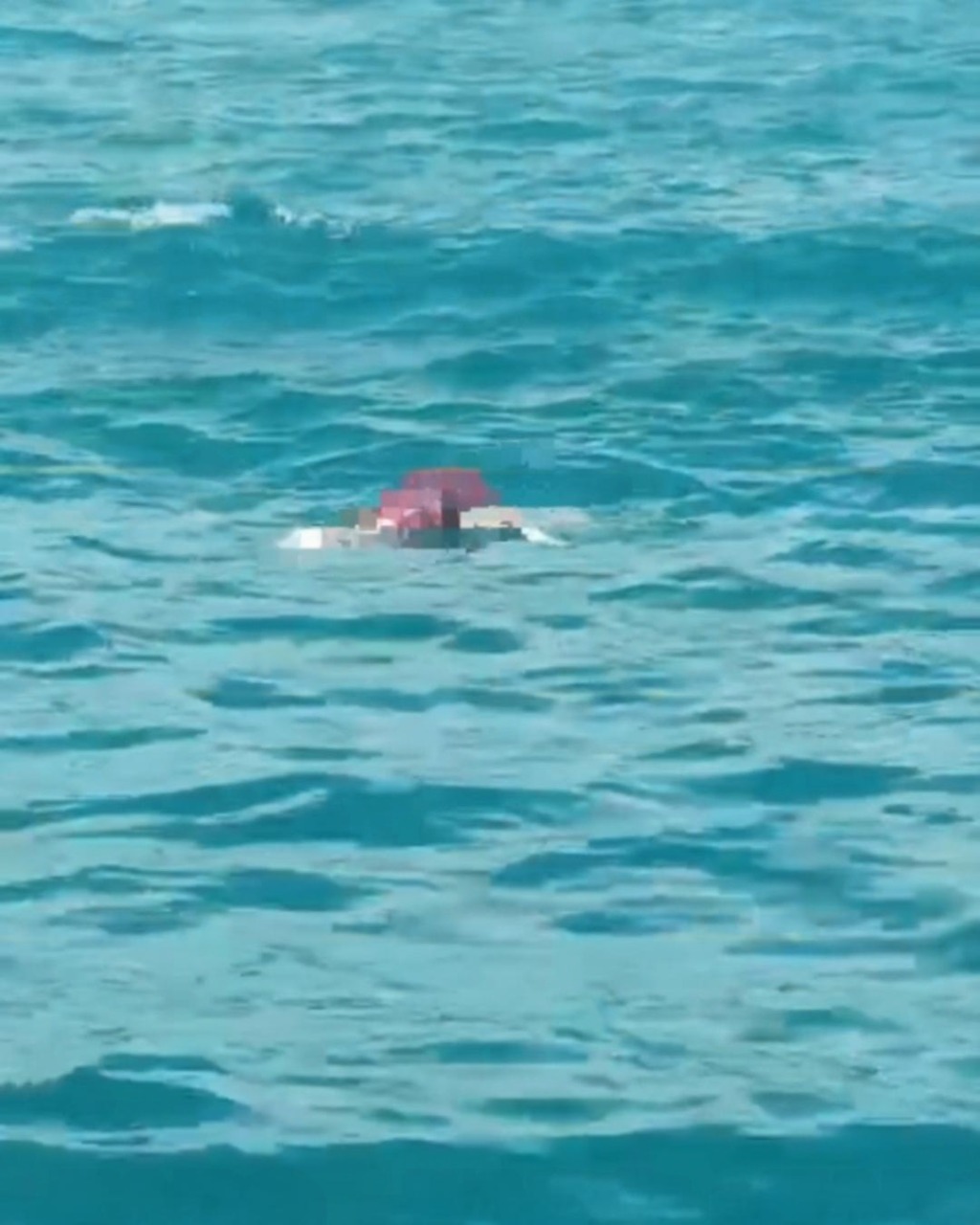 imagen-cuerpo imagen-cuerpo