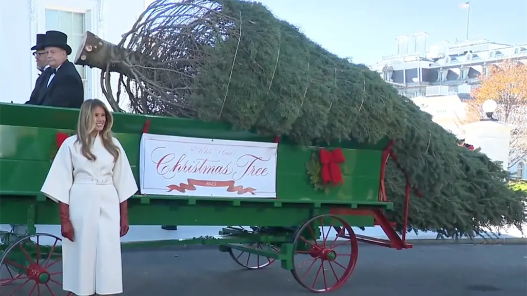 Melania Trump, primera dama de EU, recibe el árbol de Navidad oficial de la Casa Blanca | VIDEO
