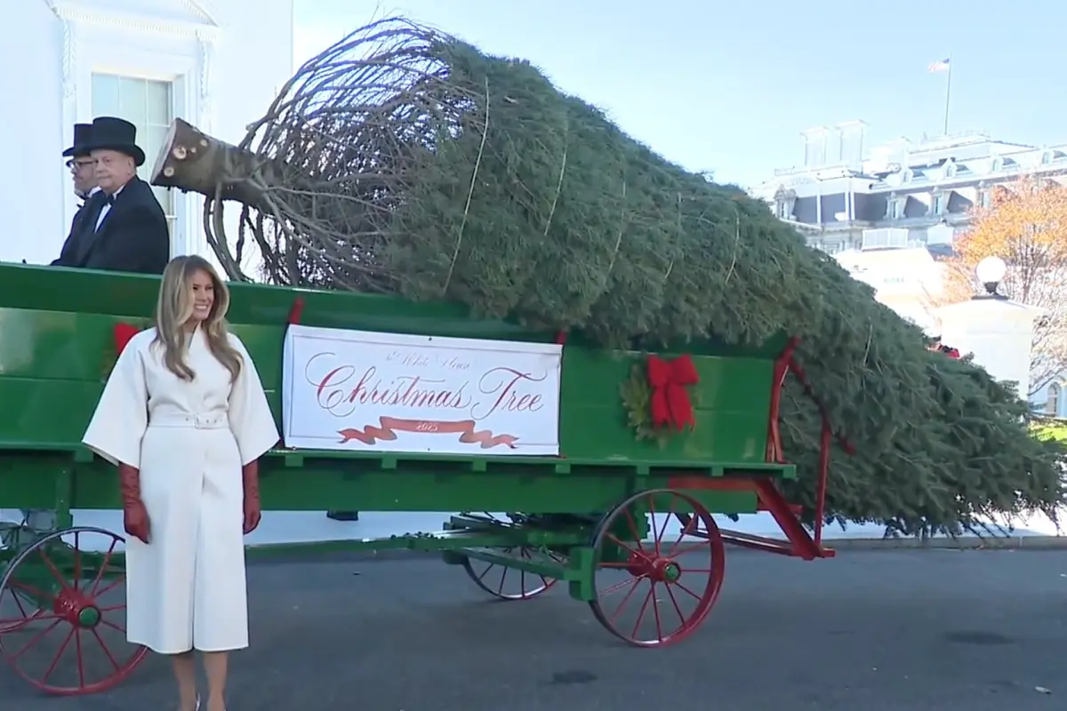Melania Trump con al árbol de Navidad de la Casa Blanca Foto: The White House