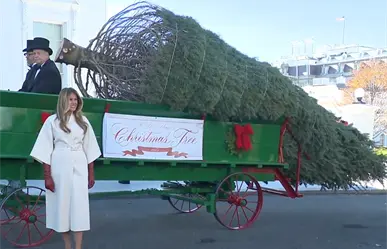 Melania Trump, primera dama de EU, recibe el árbol de Navidad oficial de la Casa Blanca | VIDEO