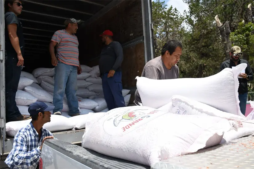 imagen recuadro Campo tamaulipeco recibe respaldo récord con 870 millones de pesos federales y estatales. FOTO | Gobierno de Tamaulipas