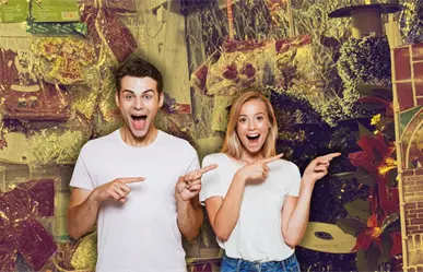 Feria del Pino 2025 en Nuevo León: Los precios de decoración navideña que debes conocer antes de ir