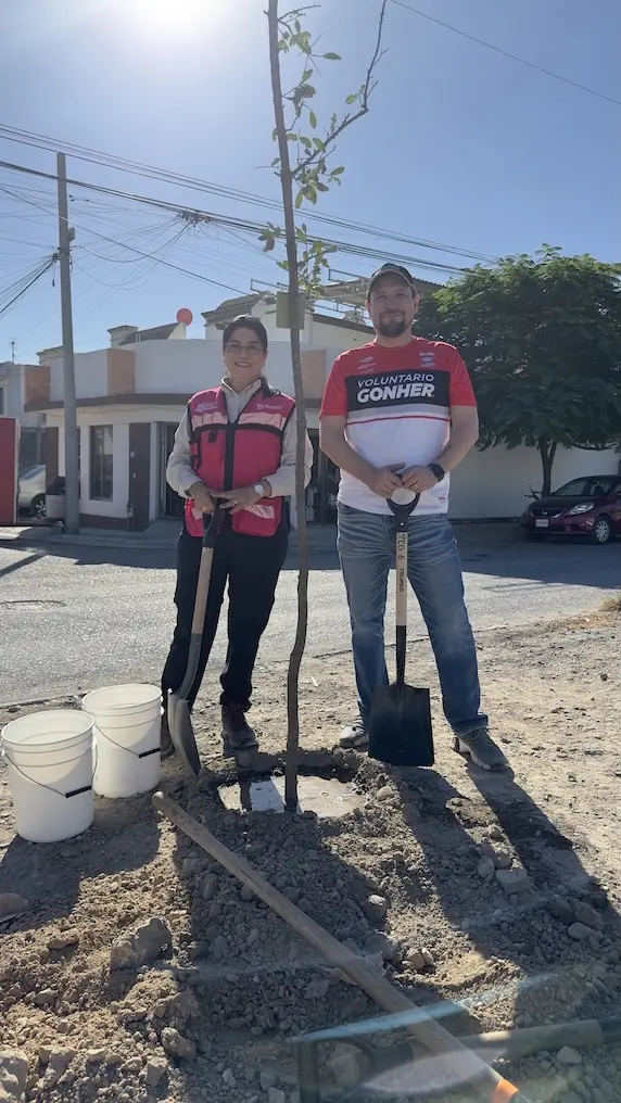 Voluntariado de Grupo Gonher y habitantes de la colonia Viñedos, de Santa Catarina, participaron en labores de reforestación. Foto: Grupo Gonher
